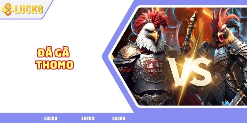 Đá gà thomo